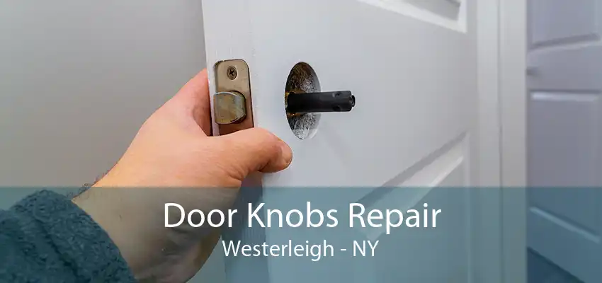 Door Knobs Repair Westerleigh - NY