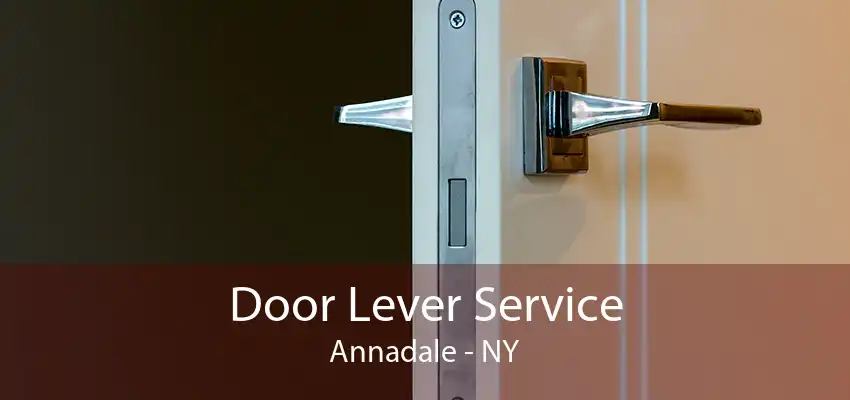 Door Lever Service Annadale - NY