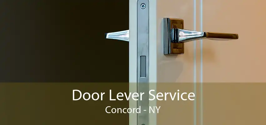 Door Lever Service Concord - NY