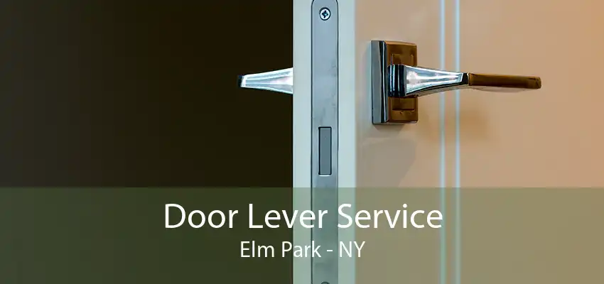 Door Lever Service Elm Park - NY