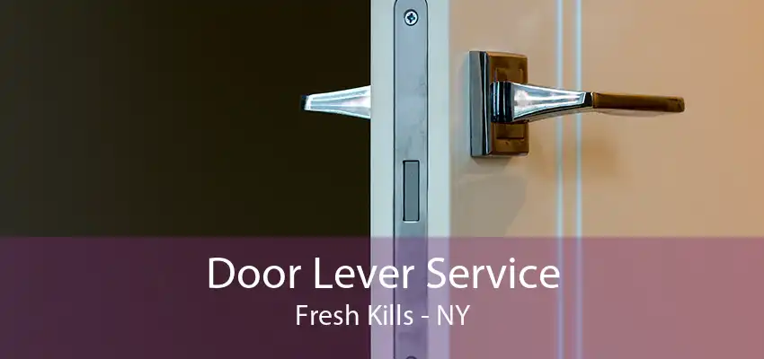 Door Lever Service Fresh Kills - NY