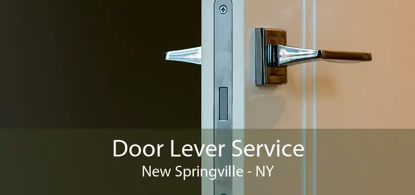 Door Lever Service New Springville - NY