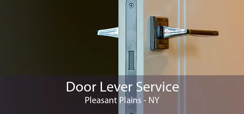 Door Lever Service Pleasant Plains - NY