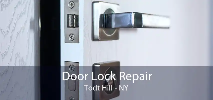 Door Lock Repair Todt Hill - NY