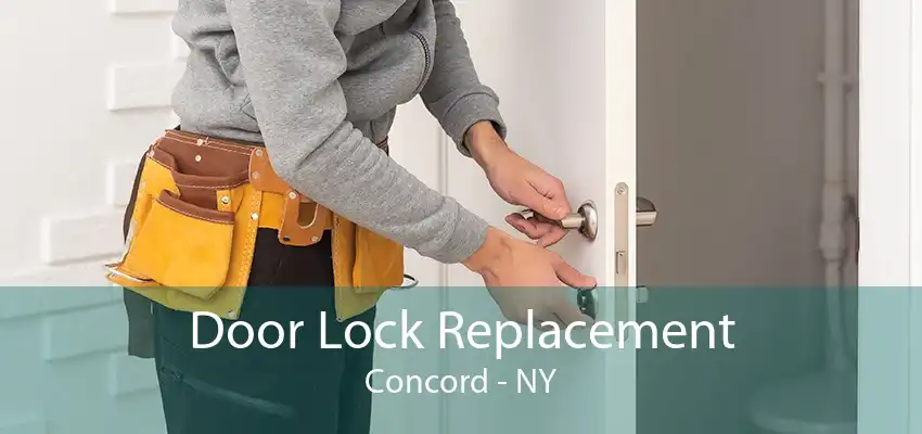 Door Lock Replacement Concord - NY