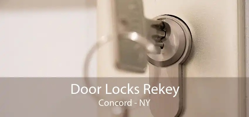 Door Locks Rekey Concord - NY