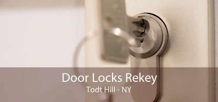 Door Locks Rekey Todt Hill - NY