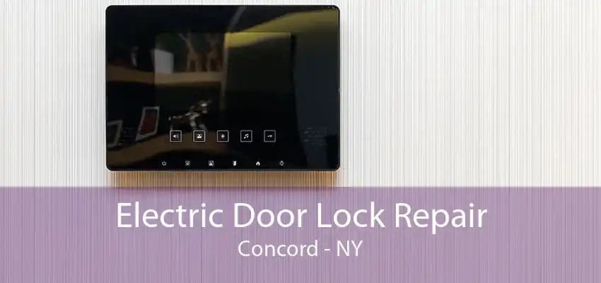 Electric Door Lock Repair Concord - NY