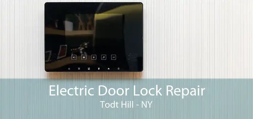 Electric Door Lock Repair Todt Hill - NY