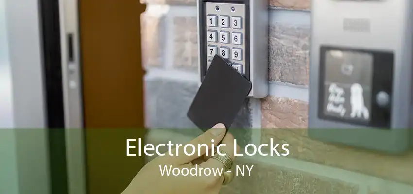 Electronic Locks Woodrow - NY