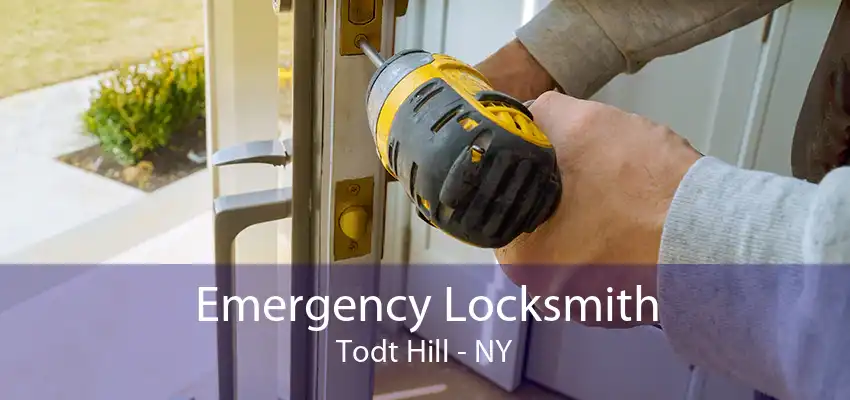 Emergency Locksmith Todt Hill - NY