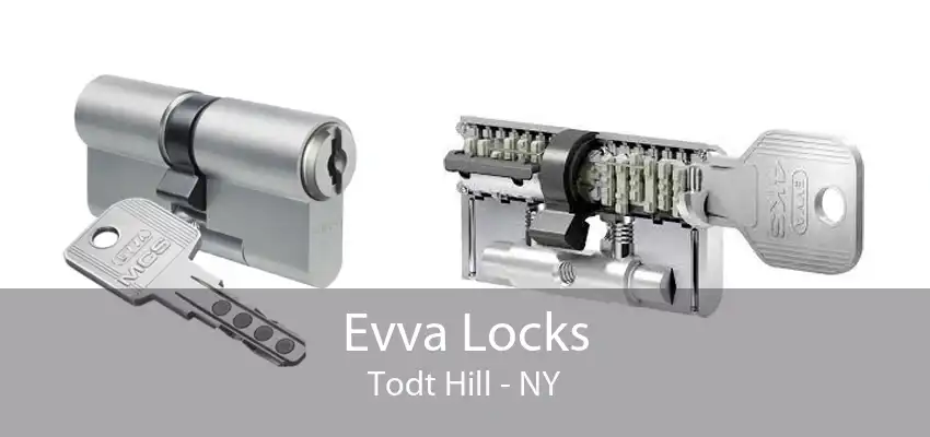Evva Locks Todt Hill - NY