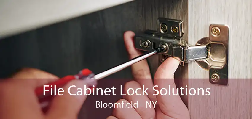 File Cabinet Lock Solutions Bloomfield - NY