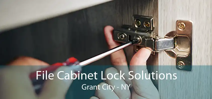 File Cabinet Lock Solutions Grant City - NY