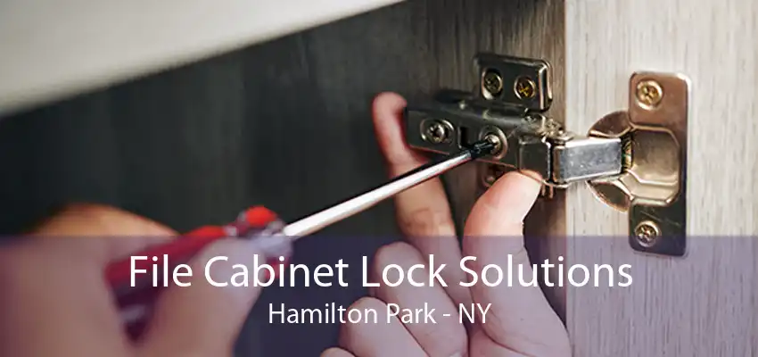 File Cabinet Lock Solutions Hamilton Park - NY