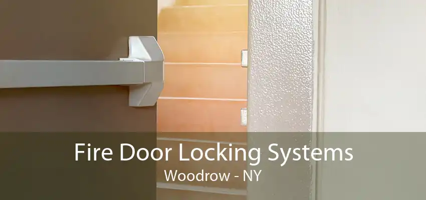 Fire Door Locking Systems Woodrow - NY