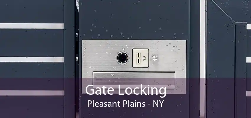 Gate Locking Pleasant Plains - NY