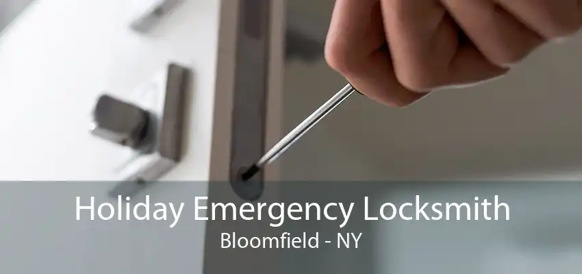 Holiday Emergency Locksmith Bloomfield - NY