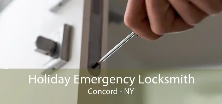 Holiday Emergency Locksmith Concord - NY
