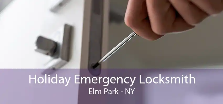 Holiday Emergency Locksmith Elm Park - NY