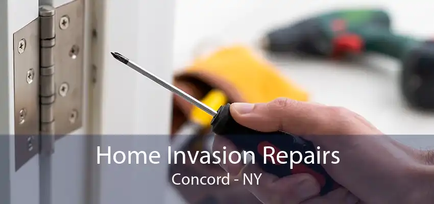 Home Invasion Repairs Concord - NY