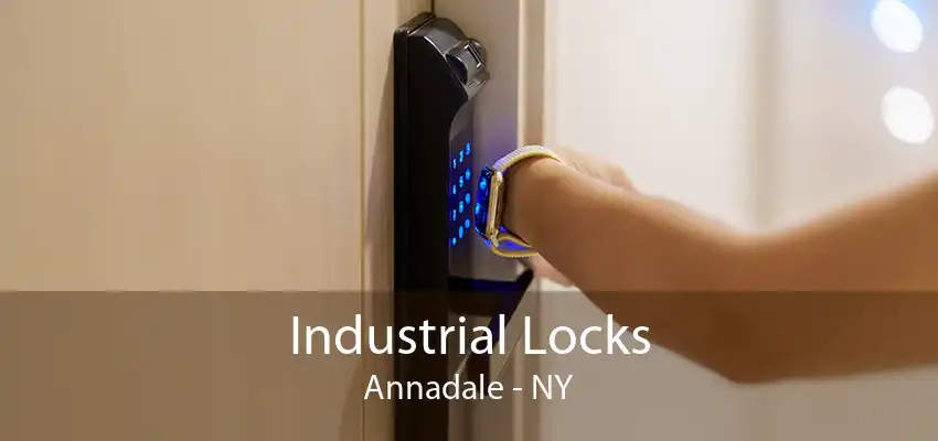 Industrial Locks Annadale - NY