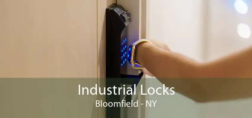 Industrial Locks Bloomfield - NY
