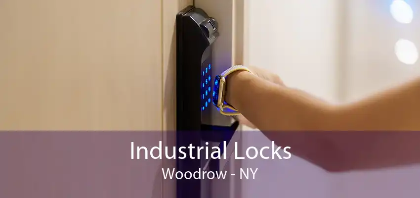 Industrial Locks Woodrow - NY