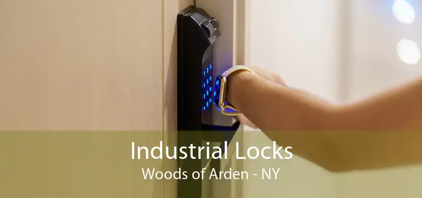 Industrial Locks Woods of Arden - NY