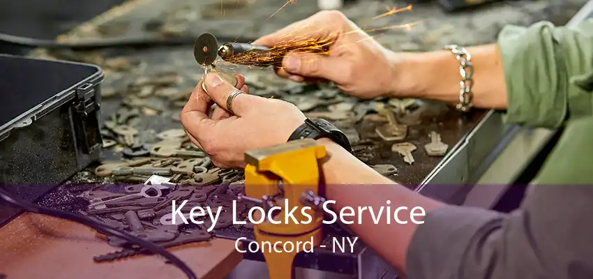 Key Locks Service Concord - NY