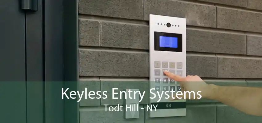 Keyless Entry Systems Todt Hill - NY