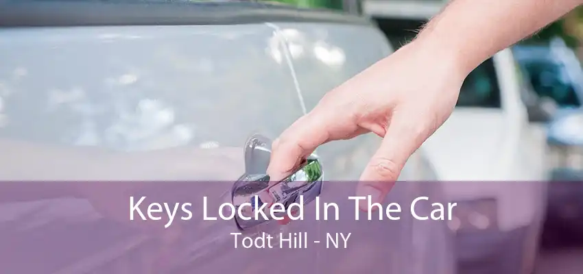 Keys Locked In The Car Todt Hill - NY