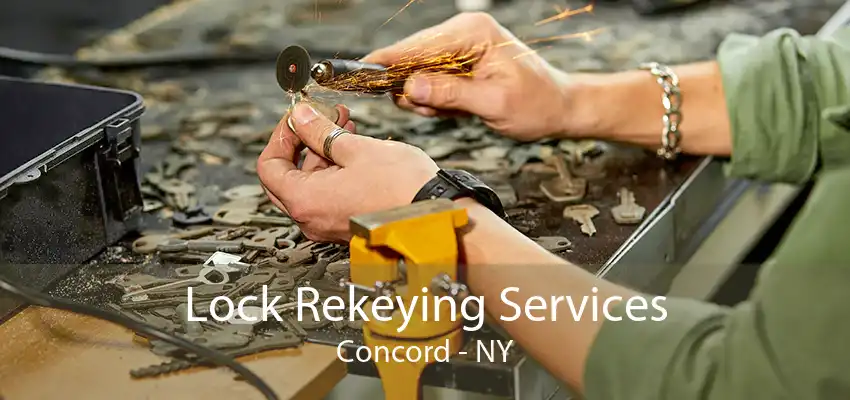 Lock Rekeying Services Concord - NY