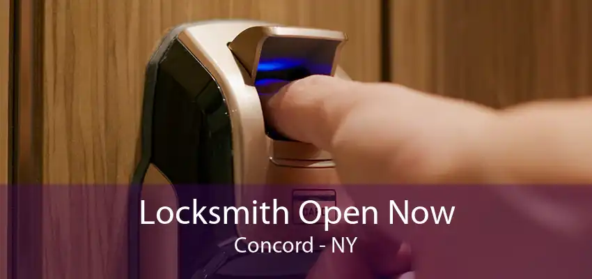Locksmith Open Now Concord - NY