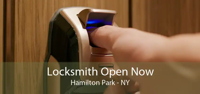 Locksmith Open Now Hamilton Park - NY