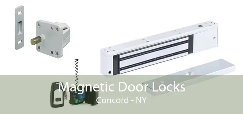Magnetic Door Locks Concord - NY