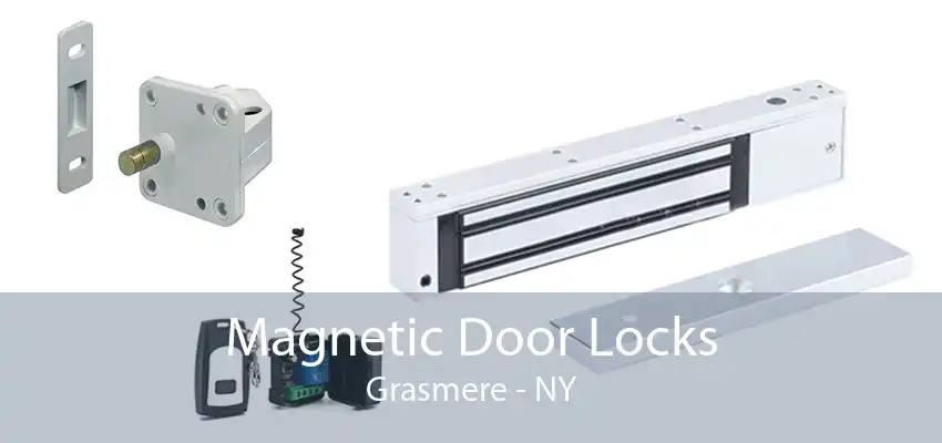 Magnetic Door Locks Grasmere - NY