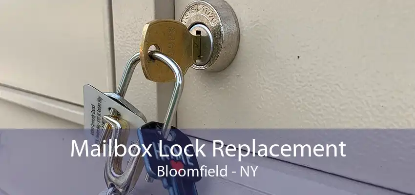 Mailbox Lock Replacement Bloomfield - NY