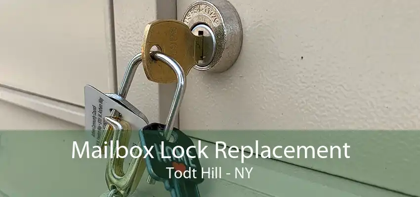Mailbox Lock Replacement Todt Hill - NY