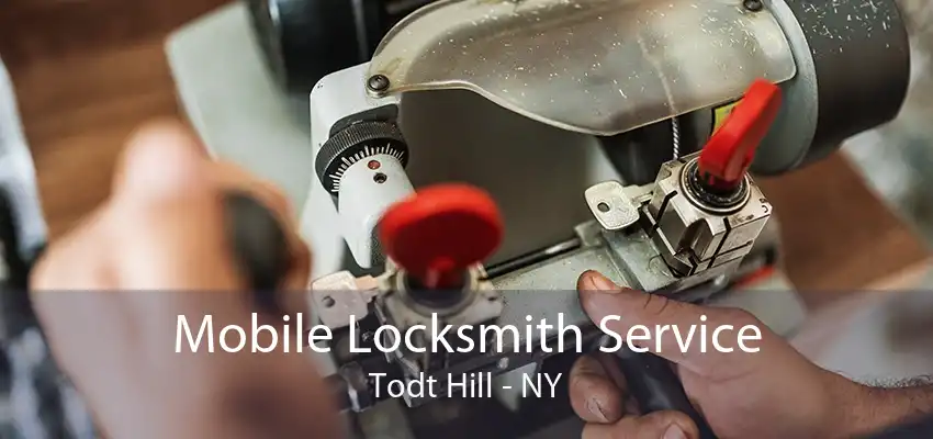 Mobile Locksmith Service Todt Hill - NY