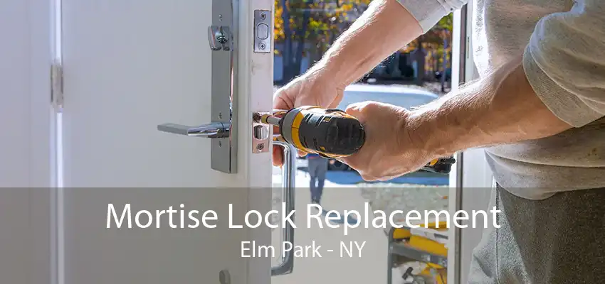 Mortise Lock Replacement Elm Park - NY