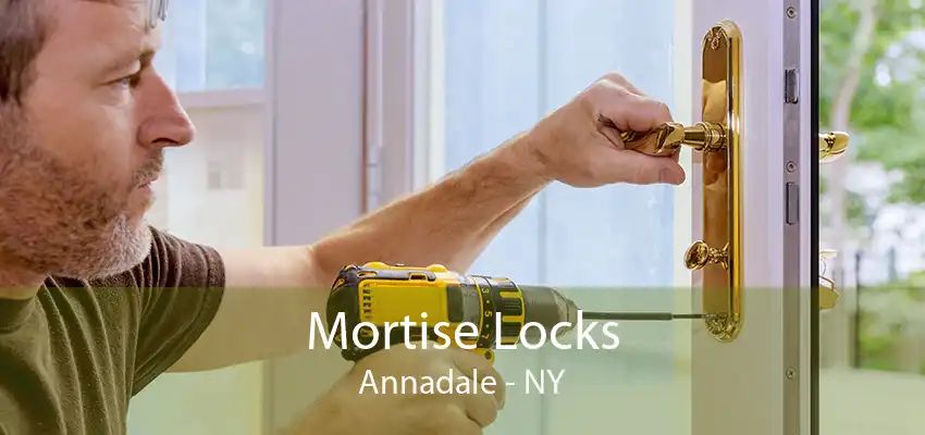Mortise Locks Annadale - NY
