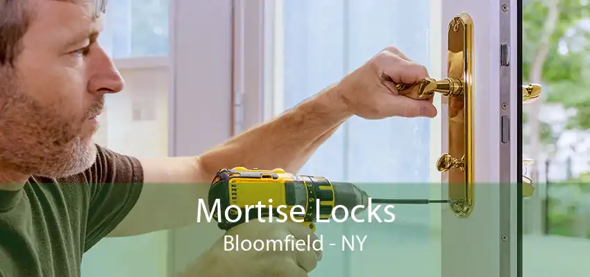 Mortise Locks Bloomfield - NY