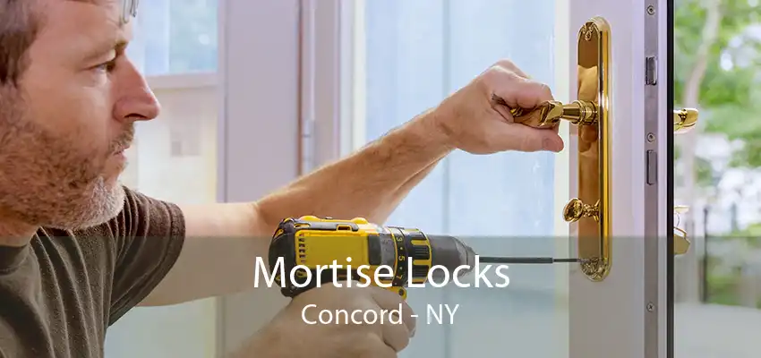 Mortise Locks Concord - NY