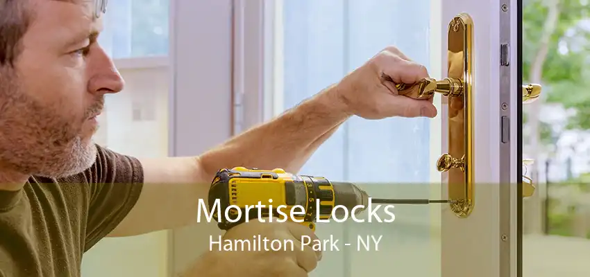 Mortise Locks Hamilton Park - NY