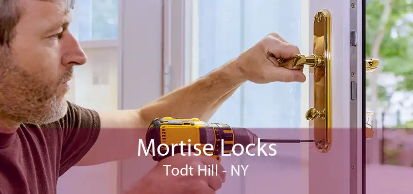 Mortise Locks Todt Hill - NY