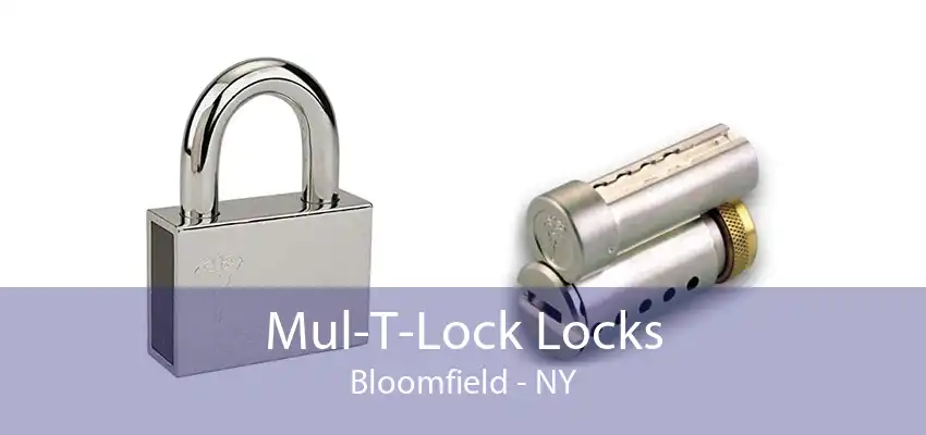 Mul-T-Lock Locks Bloomfield - NY