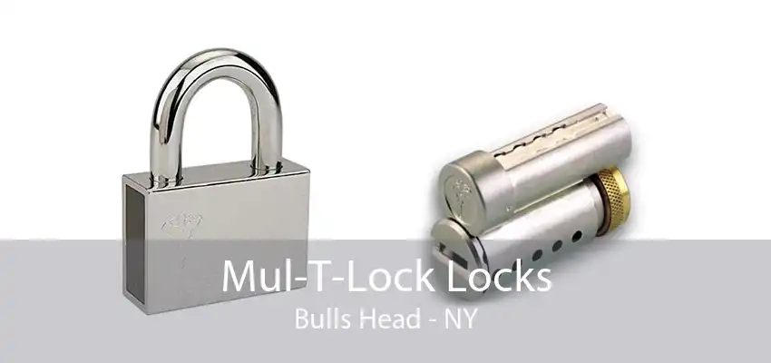 Mul-T-Lock Locks Bulls Head - NY