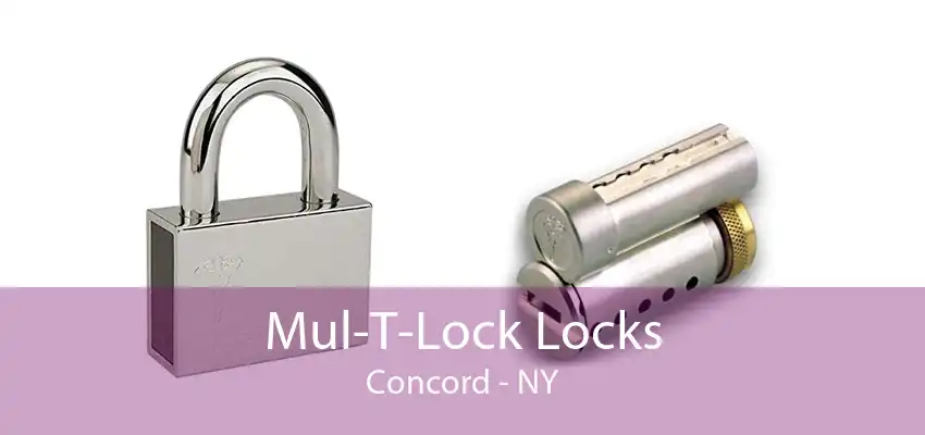 Mul-T-Lock Locks Concord - NY