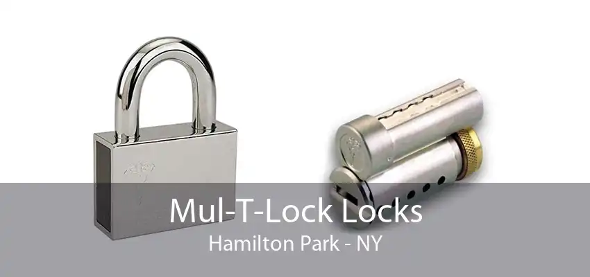 Mul-T-Lock Locks Hamilton Park - NY